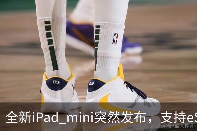 全新iPad mini突然发布，支持eSIM，5499元起