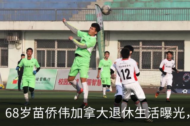 68岁苗侨伟加拿大退休生活曝光，遛狗赏花好惬意，两鬓花白仍健硕